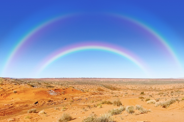 (徳島)結婚相談所 好印象な紹介カードの書き方☆徳島地域密着EMI(イーエムアイ)結婚相談所お見合い
